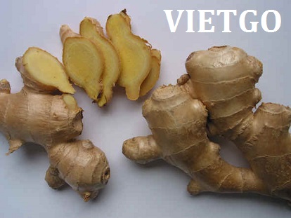 xuất khẩu gừng