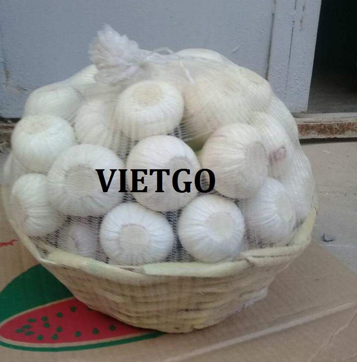 VIEGO-xuat-khau-dứa-khóm-Hy-Lạp VIEGO-xuat-khau-dứa-khóm-Hy-Lạp