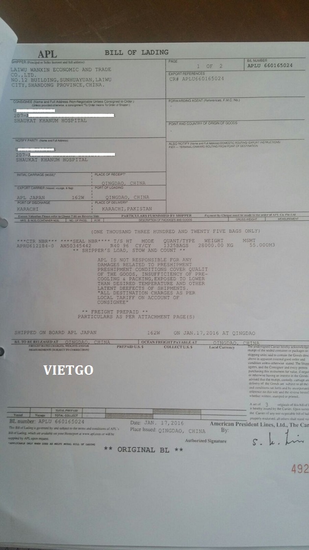 tỏi việt nam