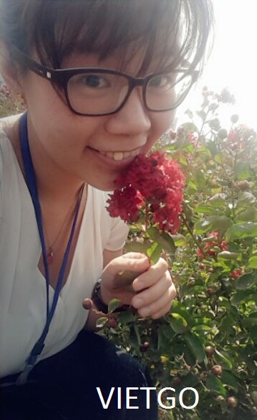 ớt việt nam xuất khẩu