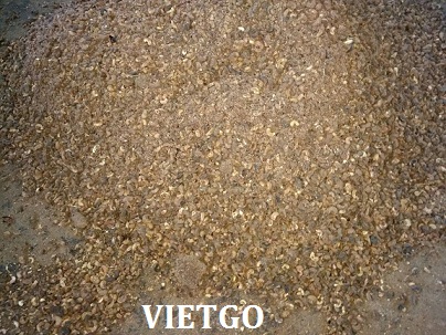 hạt điều việt nam