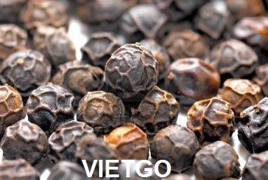 tiêu việt nam
