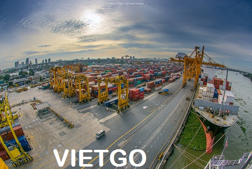 ớt việt nam xuất khẩu