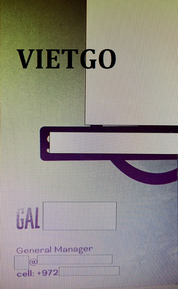 Gậy tre Vietgo