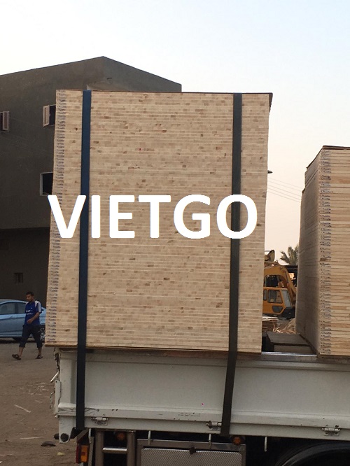 Ván bóc gỗ bạch dương Vietgo Ván bóc gỗ bạch dương Vietgo