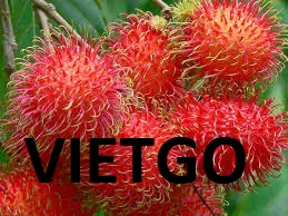 Nhãn-Chôm chôm-Vietgo