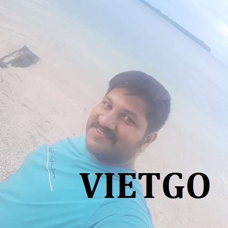 Cá Basa phi lê Vietgo