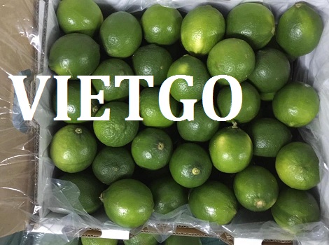 Chanh xanh Vietgo