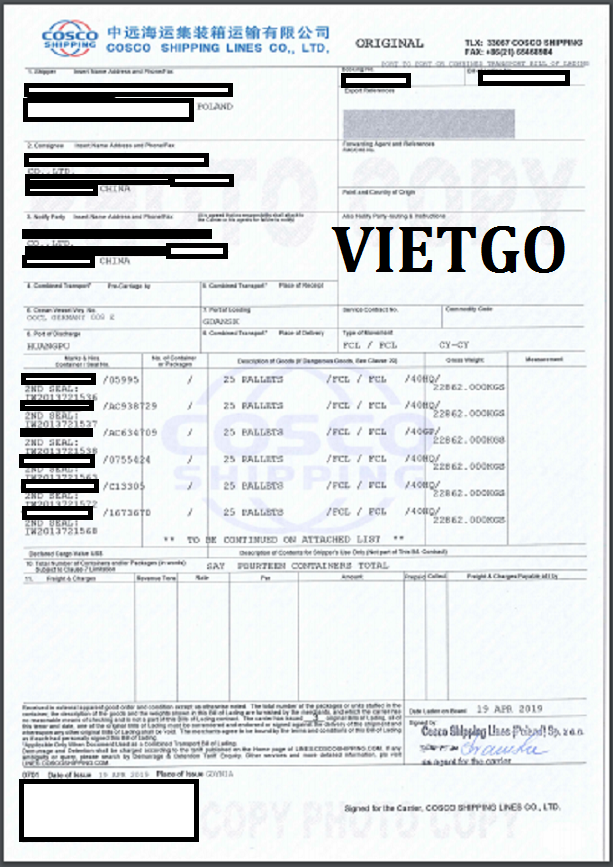 Cat-silica-VIETGO