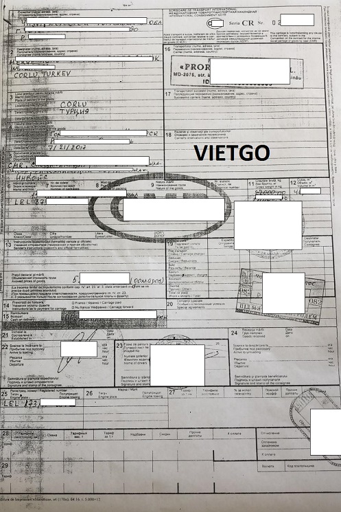 Gỗ thông xẻ Vietgo
