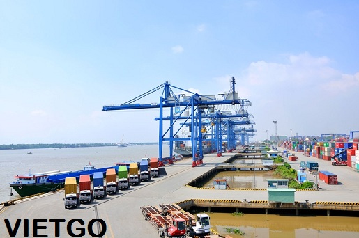 điều việt nam xuất khẩu