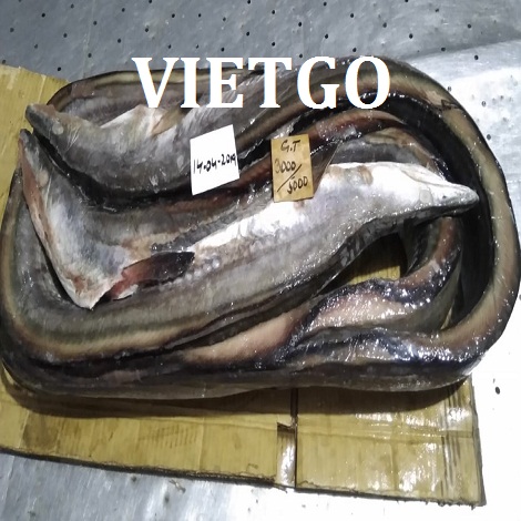 Ca-chinh-VIETGO