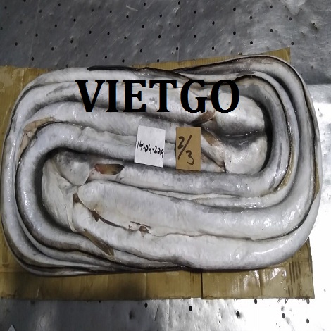 Ca-chinh-VIETGO