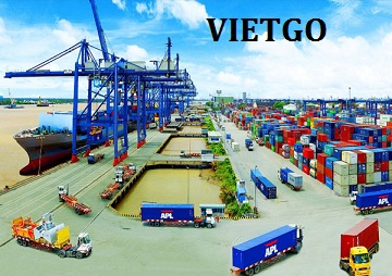 tỏi trắng