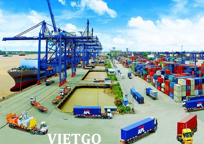 cà phê hạt robusta việt nam