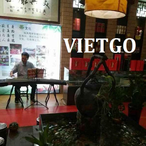 Cat-VIETGO