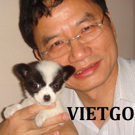 Cat-VIETGO