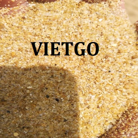 Cat-song-VIETGO010319