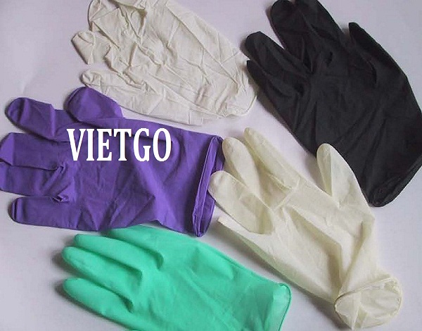 Cat-song-VIETGO010319