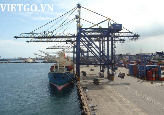 xuất khẩu gỗ dán