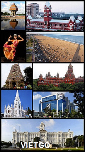 ngô hạt việt nam