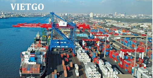 gừng tươi việt nam