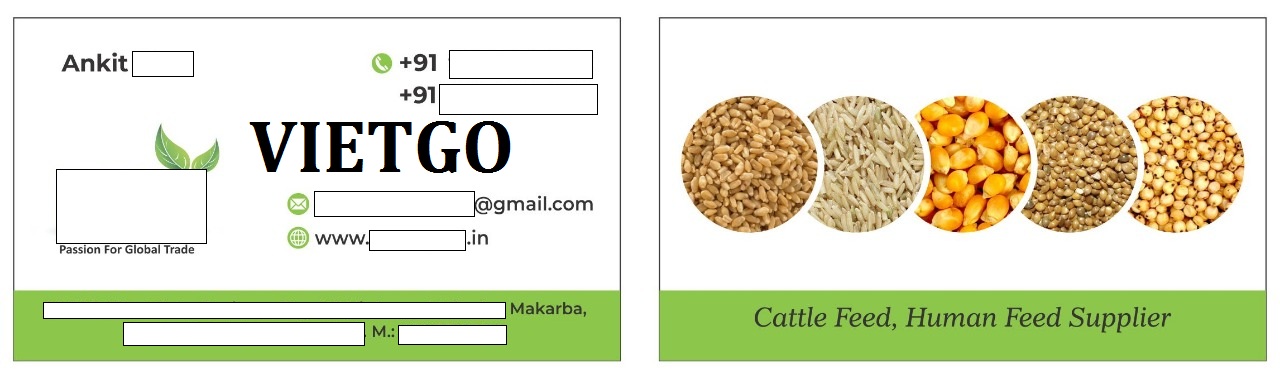 VIETGO-xuat-khau-ngô-Ấn-Độ-Ankit