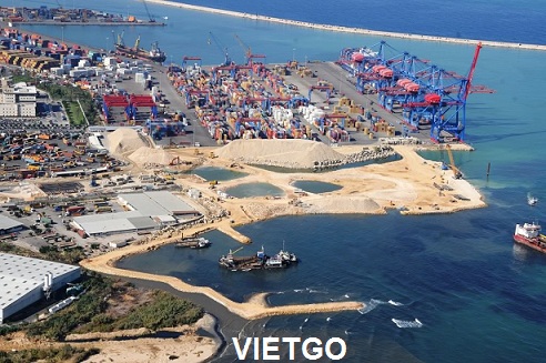 ngô hạt việt nam