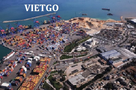tỏi trắng việt nam