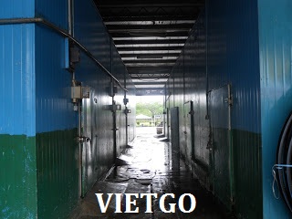ớt việt nam