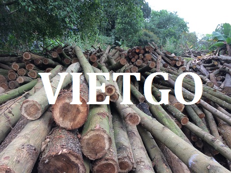Gỗ keo tròn Vietgo