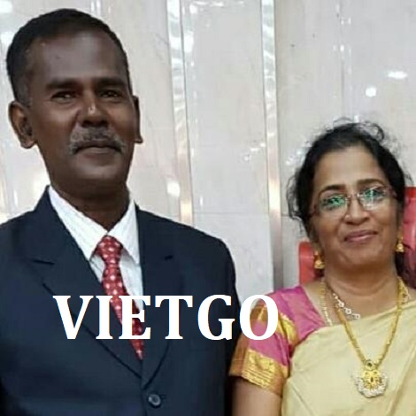 Gỗ thông tròn Vietgo