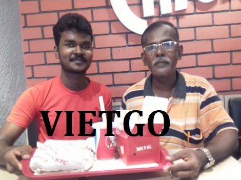 Gỗ thông tròn Vietgo