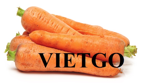 VIETGO-xuat-khau-gưng-toi-carrot-trai-cay-cac-loai-Maldives