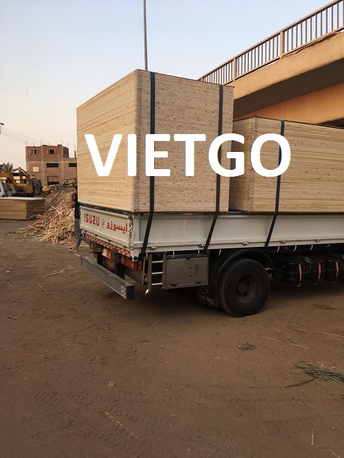 Ván bóc gỗ bạch dương Vietgo Ván bóc gỗ bạch dương Vietgo