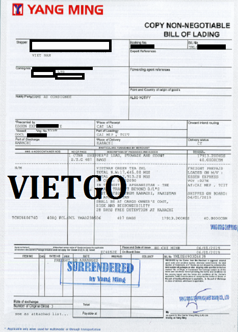 Gay-tre-VIETGO020419