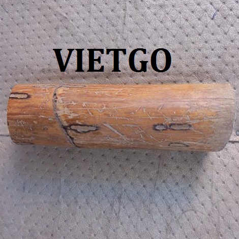 Gay-tre-VIETGO020419