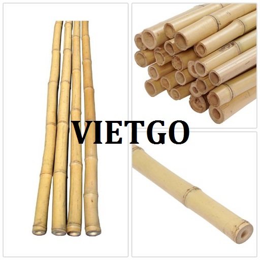 Gay-tre-VIETGO210319