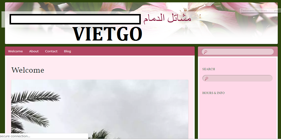 Gay-tre-VIETGO
