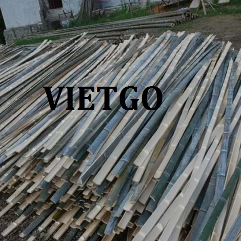 Gay-tre-VIETGO