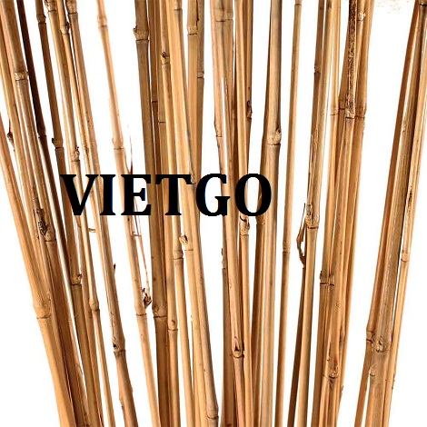 Gay-tre-kho-VIETGO050319