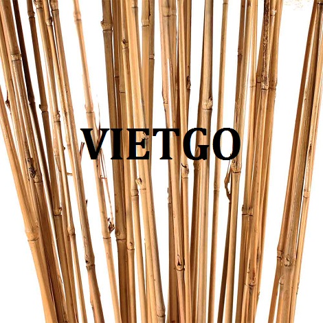 Gay-tre-VIETGO
