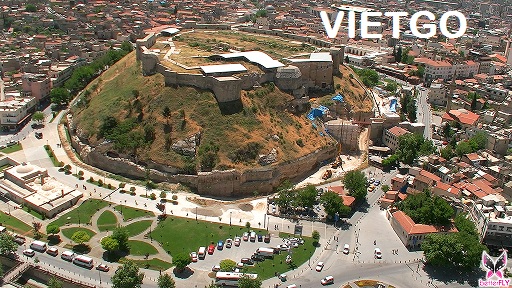 chè đen việt nam