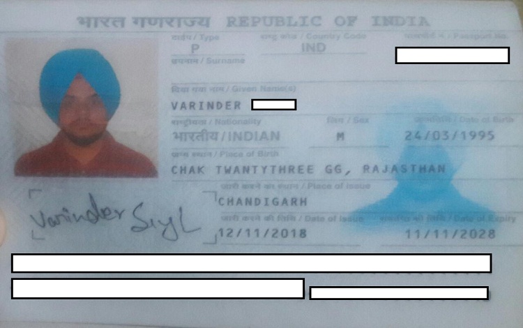 Gay-tre-VIETGO Gay-tre-VIETGO