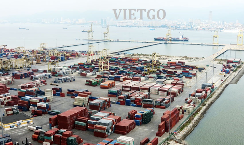gỗ dán phủ phim xuất khẩu