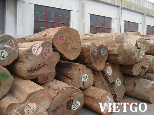 gỗ teak tròn