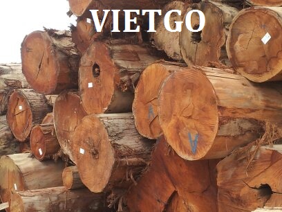 xuất khẩu gỗ dầu tròn