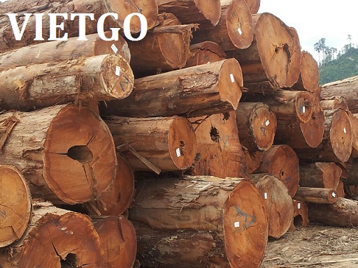 gỗ dầu xuất khẩu