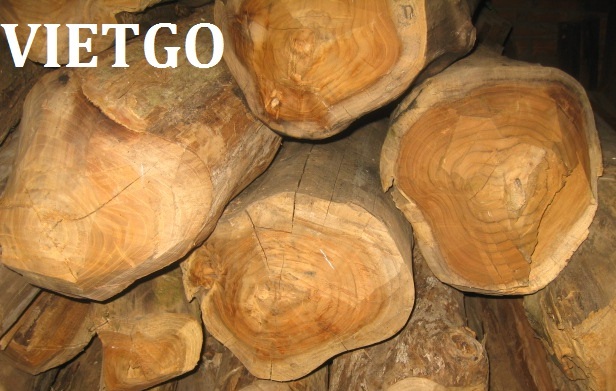 gỗ teak tròn