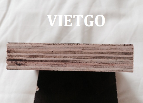 gỗ dán phủ phim xuất khẩu